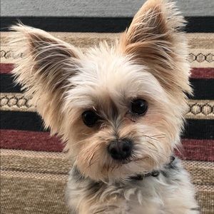 Meet your Posher, Marci